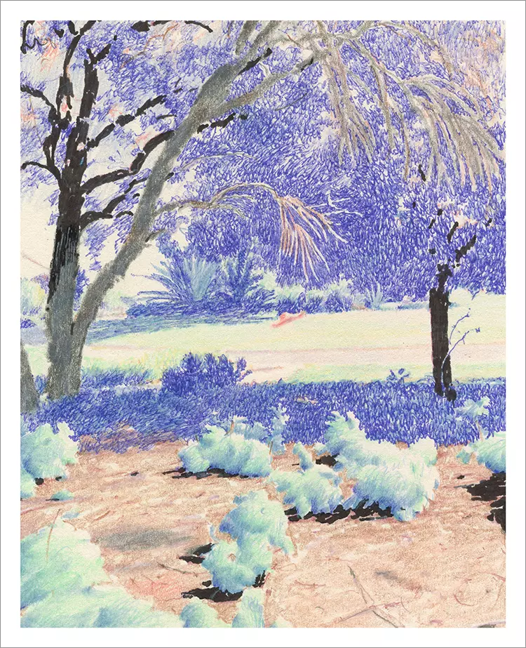 Garden [PRINT], kokooma