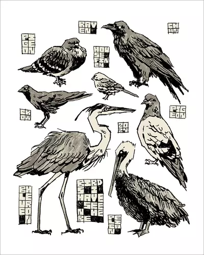 Birds [PRINT], Chan
