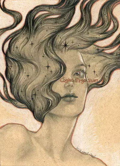 Cogito, ego sum, juri Chinchilla