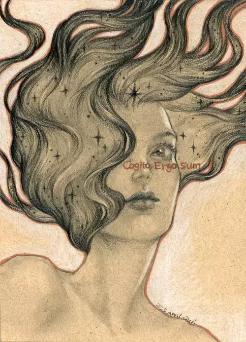 Cogito, ego sum, juri Chinchilla