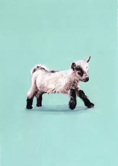 Spring, Rebecca Feneley
