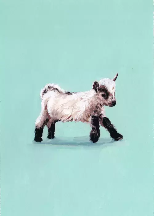 Spring, Rebecca Feneley