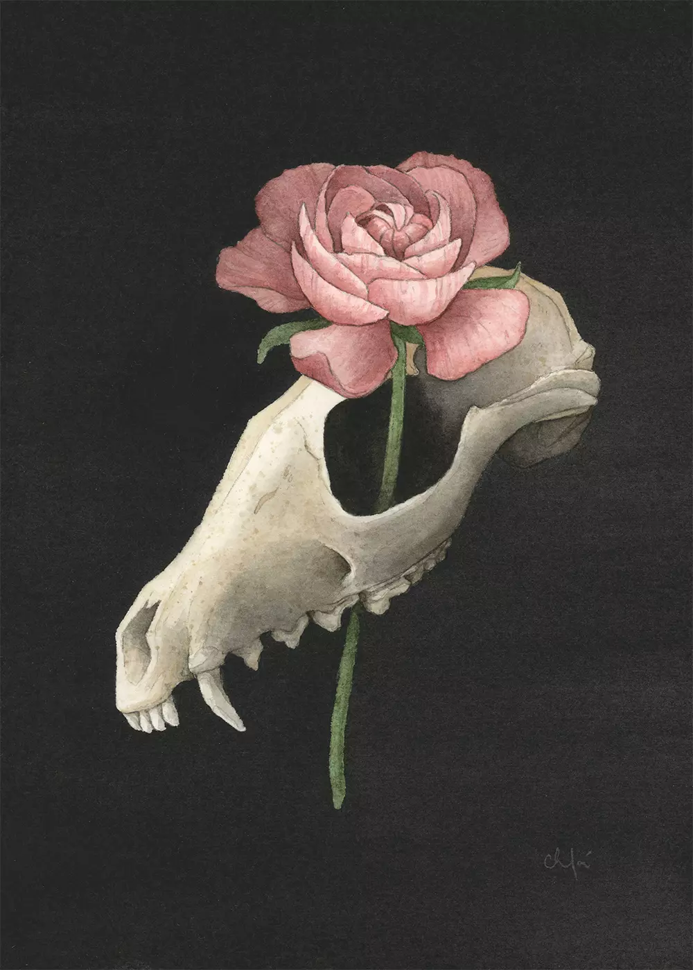 Resurface, Chloé Gray