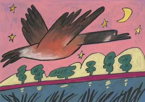 Goose , Jaime Kim