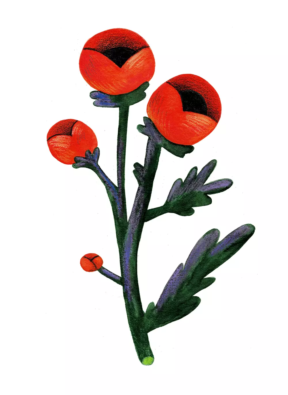 Flower in Red, Christina Ovsepian