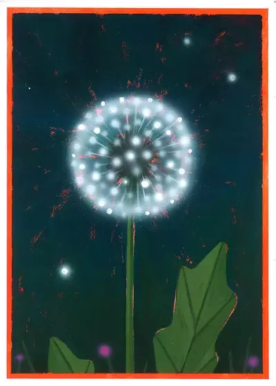 Dandy, Marcello Mesquita