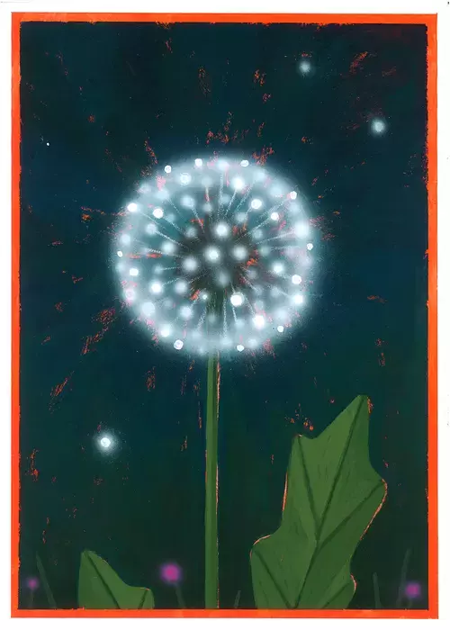 Dandy, Marcello Mesquita