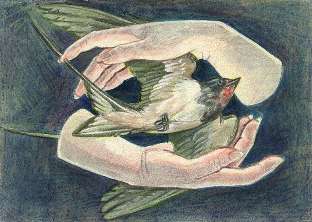 Wind-Catcher, Myriam Tillson