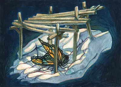Witness, Myriam Tillson