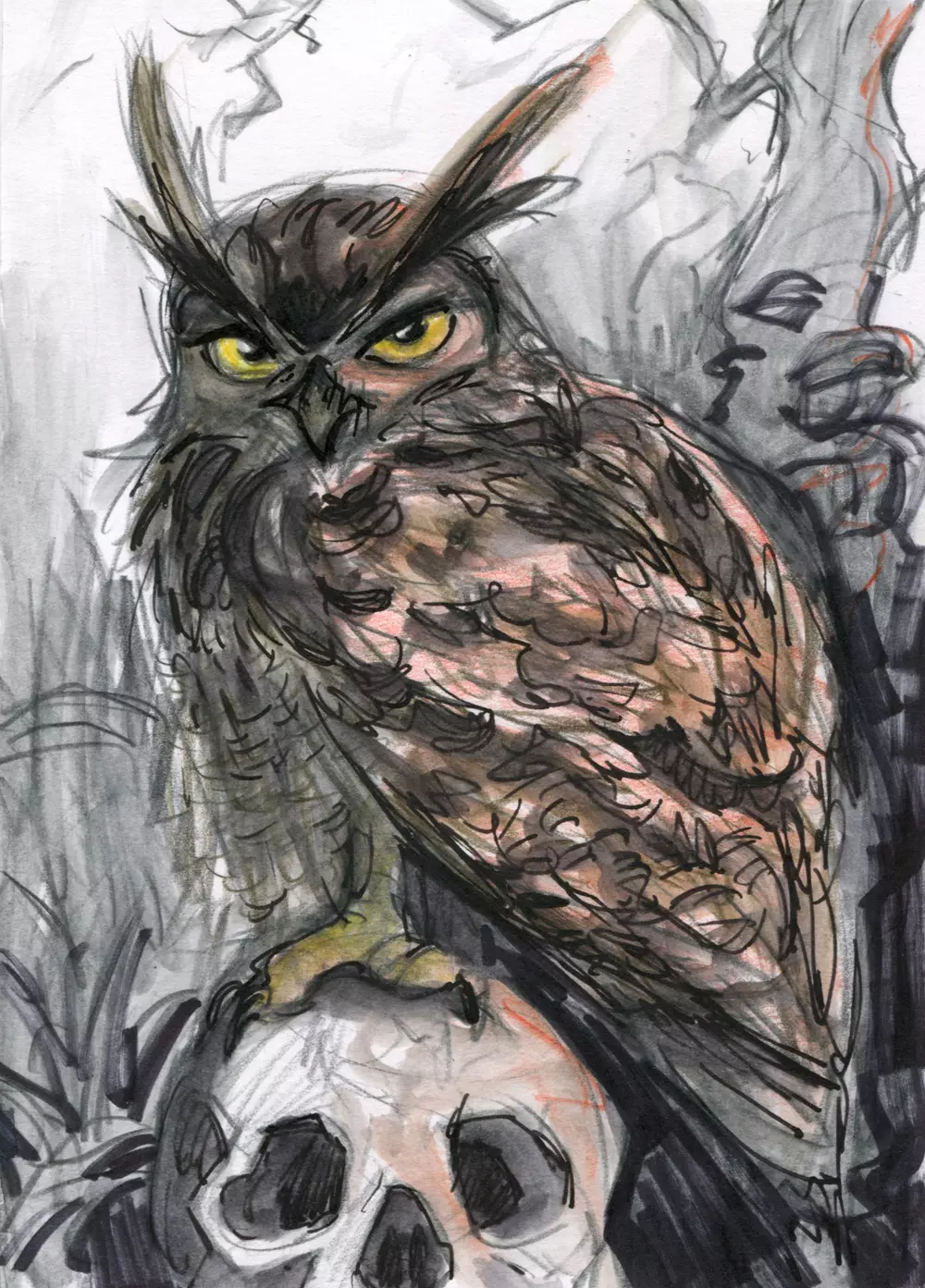 Ringo with skull, Angelina "Spikie" Ricardo