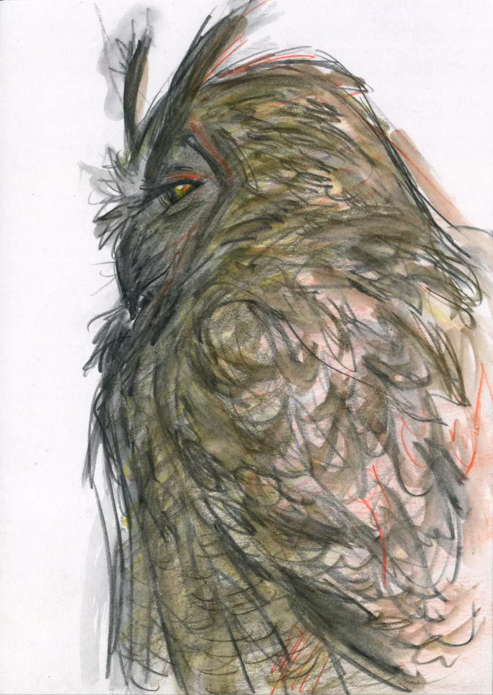 Ringo profile, Angelina "Spikie" Ricardo