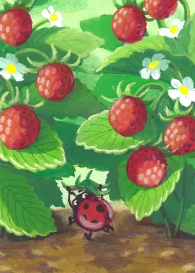 Hide and Seek in Spring, Mai Shirai