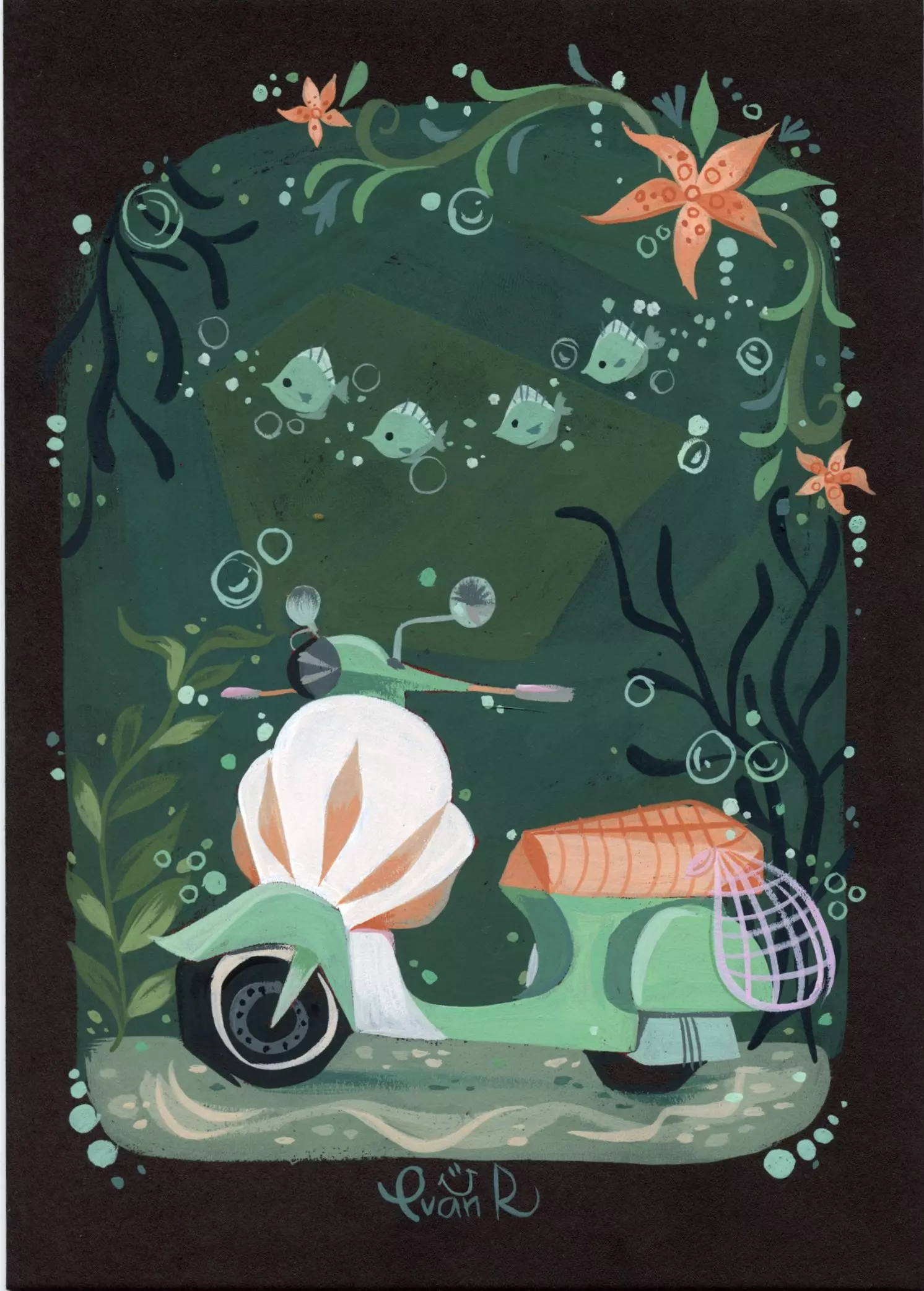 Shellride, Ivan Rosas