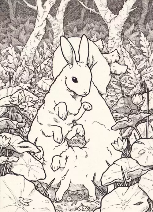 DRAGON, s. schwarzmiller