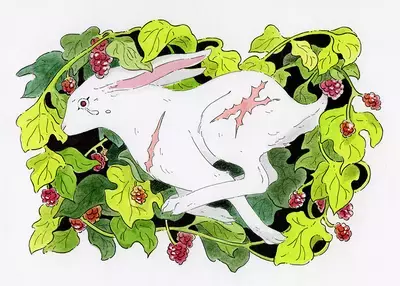 The Hare, Saefern