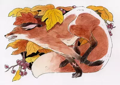 The Fox, Saefern
