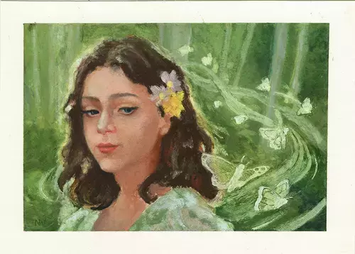 Butterflies, Nickie VanMeter