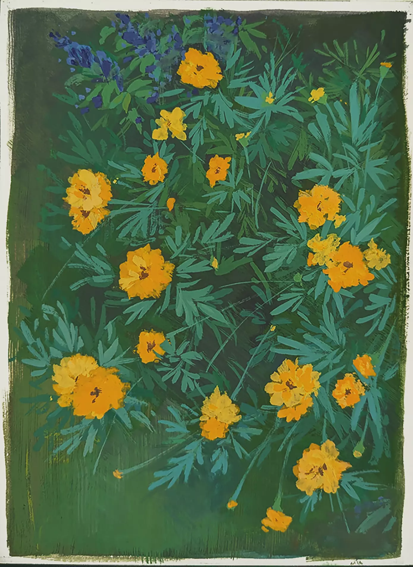 'Marigolds', Steffany Rodriguez