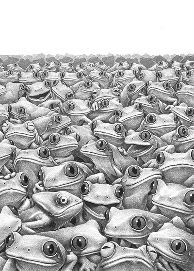 Hide and Seek - A Chameleon and Red-Eyed Tree Frogs, Julie Unchu Song