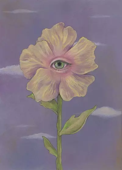 No Peeking, Emily Luyk