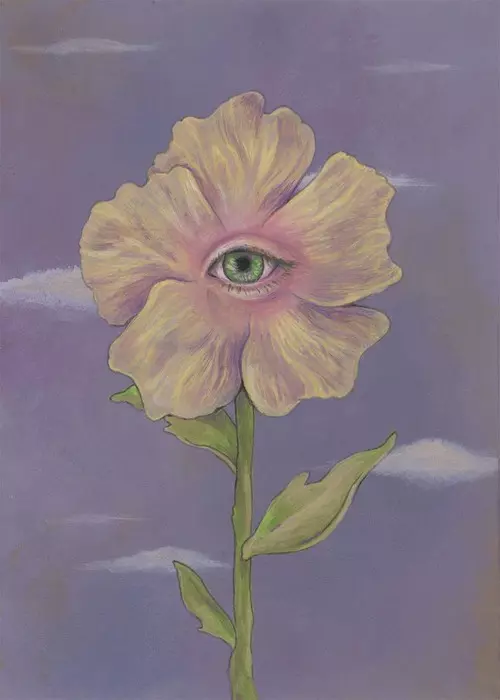No Peeking, Emily Luyk