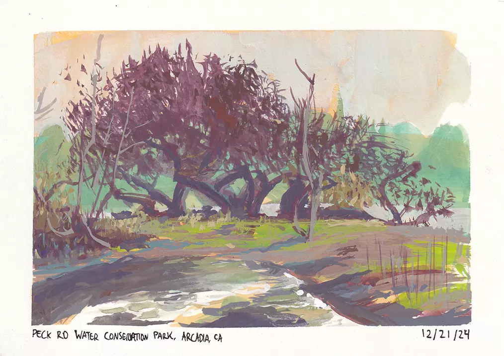 Peck Road Water Conservation Park, Ridell Apellanes