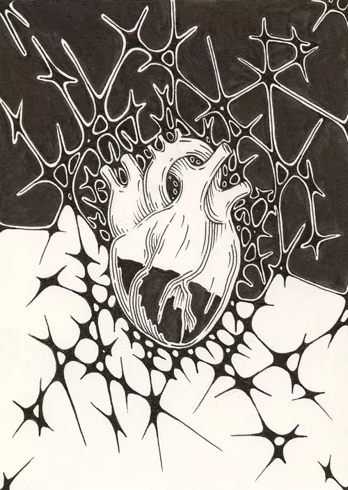 The Heart , Daisy  Murray
