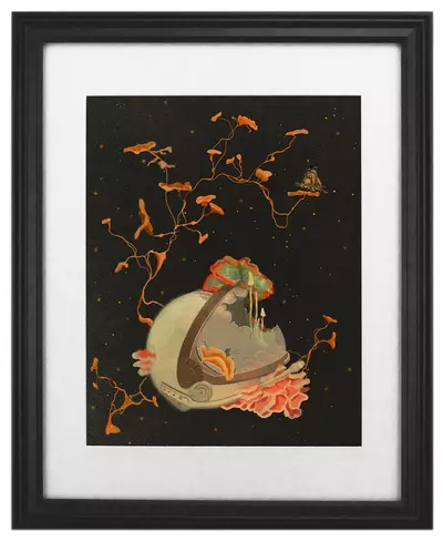 Space and Dust, Shannon Lawson