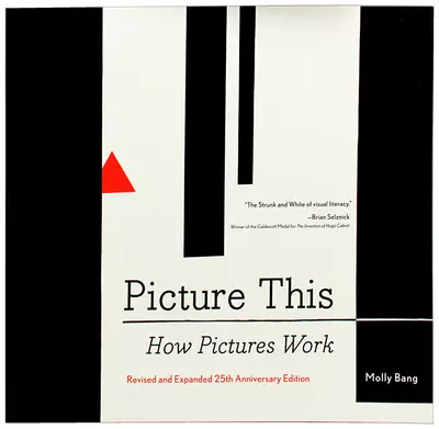 Picture This: How Pictures Work
