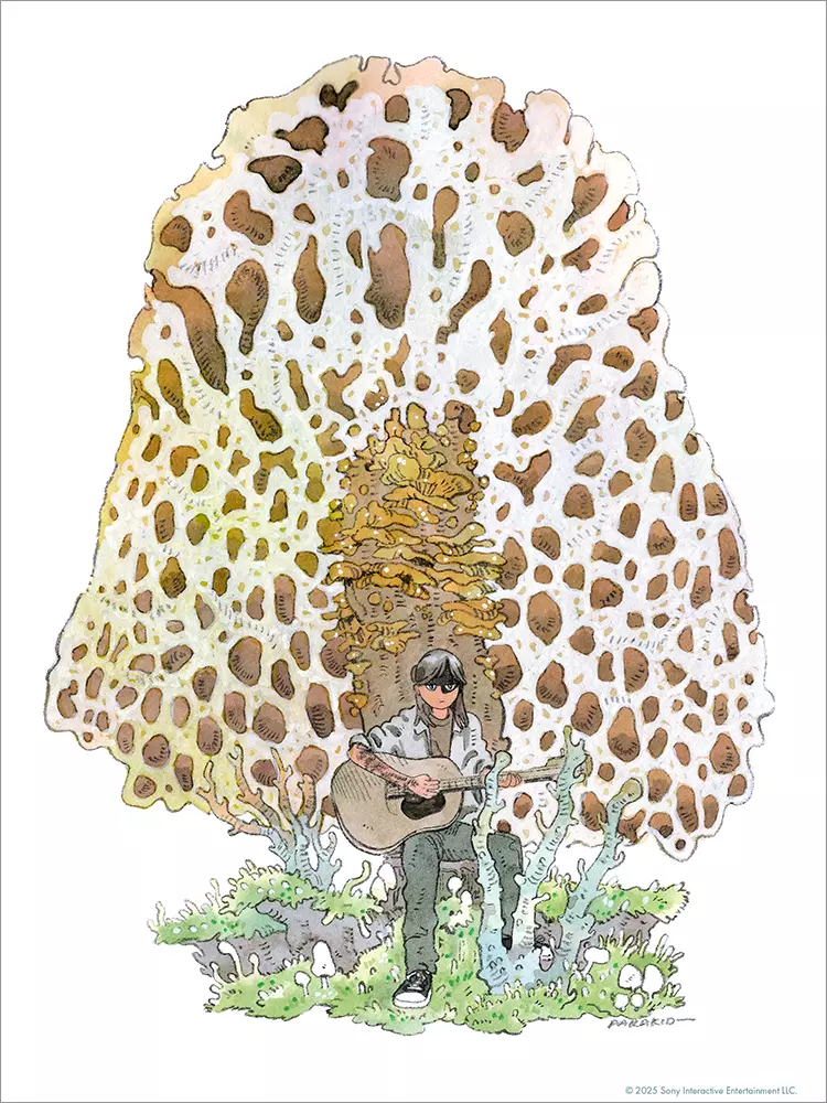 Decay [PRINT], Parakid