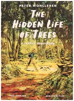 The Hidden Life Of Trees