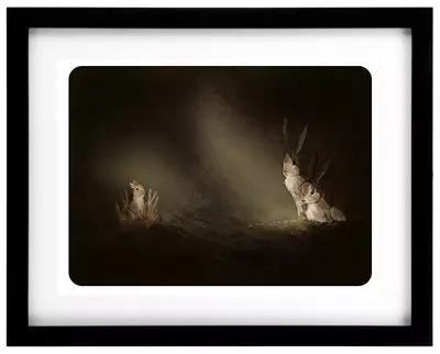 New Born, Alan Barillaro