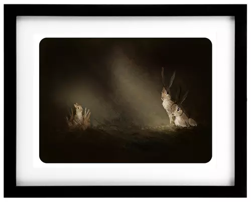 New Born, Alan Barillaro