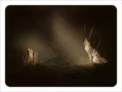 Newborn [PRINT], Alan Barillaro