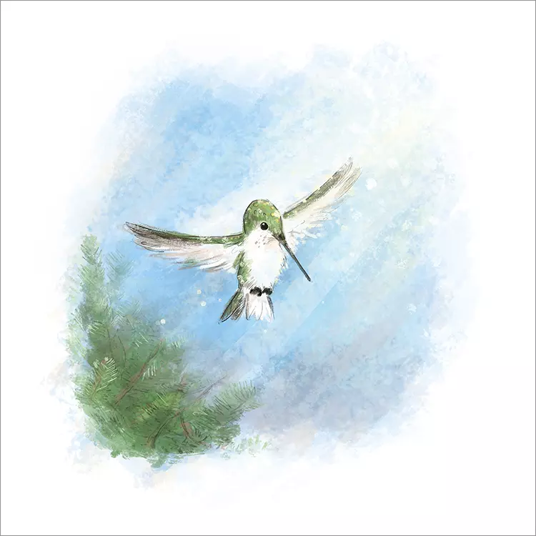 Bee the Hummingbird [PRINT], Alan Barillaro