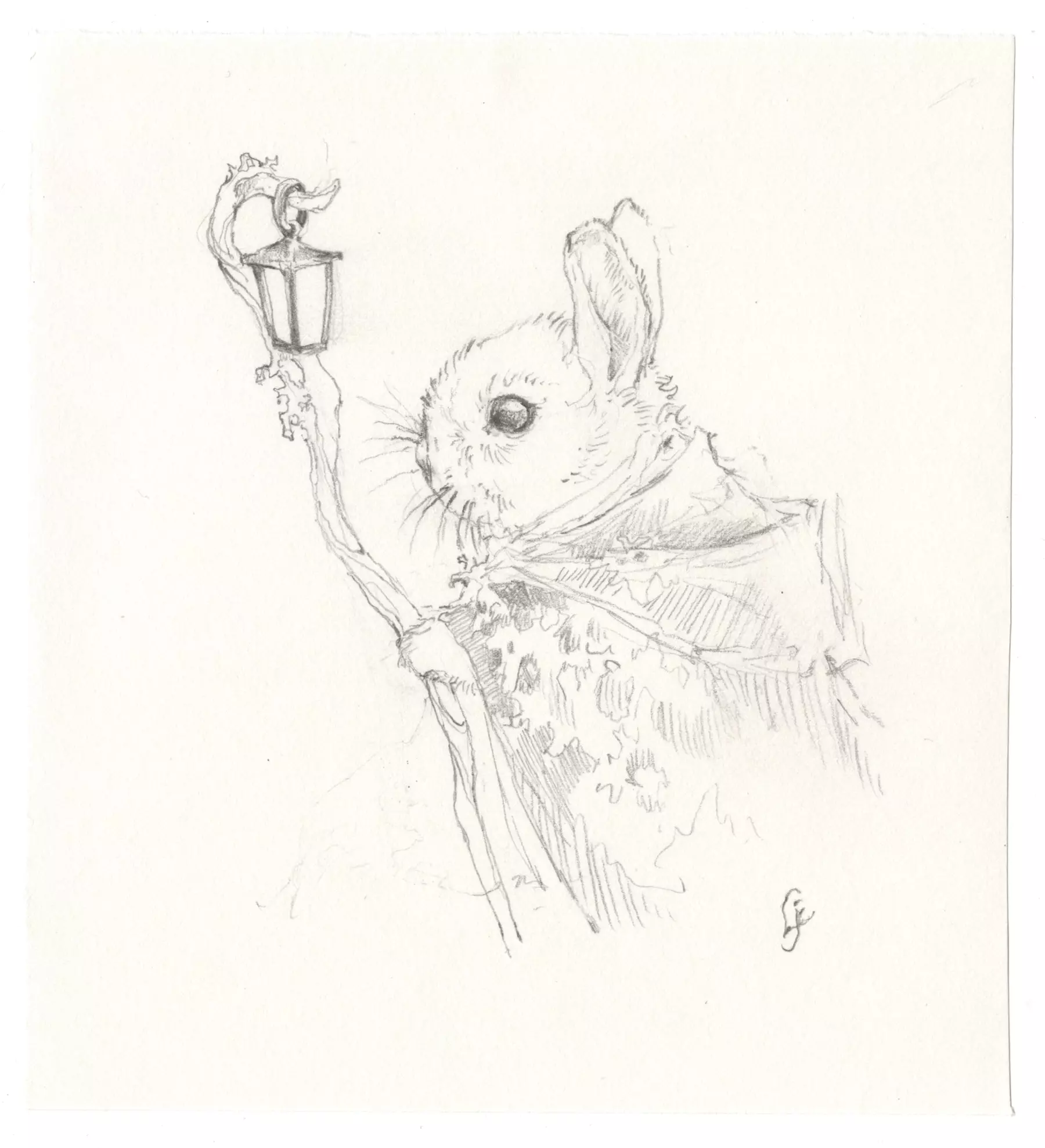 Bunny Sketch , Lily Seika Jones