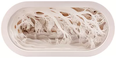 Forest Of The Fallen Tree, Hari & Deepti 