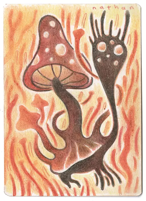 Forest Fungi 2 [Changeling Outcast], Nathan Jurevicius