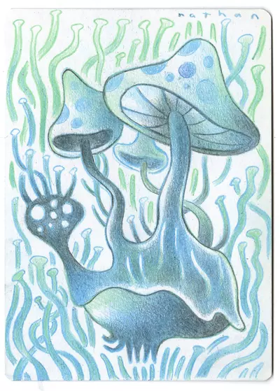 Forest Fungi 3 [Coat of Arms], Nathan Jurevicius