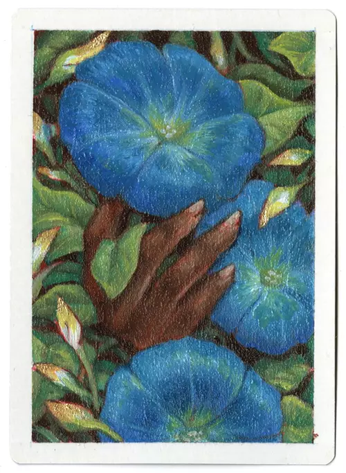 Moonflower [Ponder], Ejiwa "Edge" Ebenebe