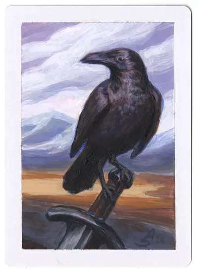 Rebirth [Ravenform], Anna Steinbauer