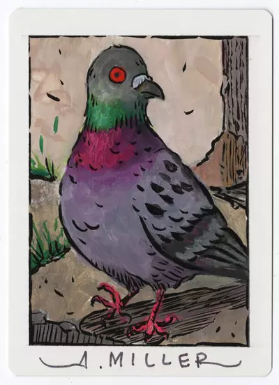 Last Flight of the Pigeon Club [Iron Bully], Aaron Miller