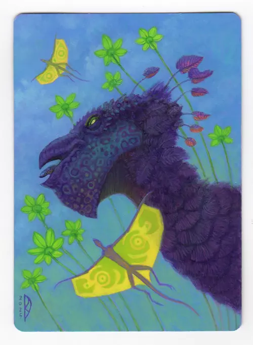 Bird of Paradise [Birds of Paradise], Darrell Riche