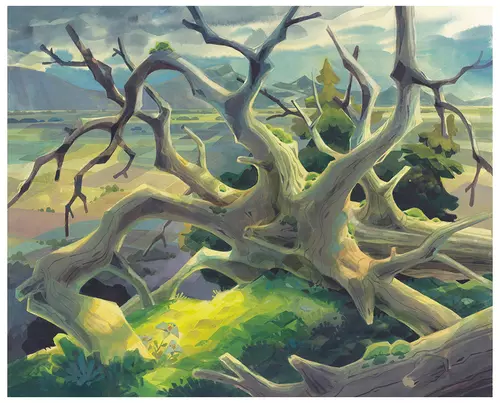 Thompson snags, Laura Bifano