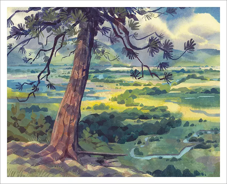 View from Balancing Rock [PRINT], Laura Bifano