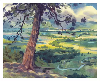 View from Balancing Rock [PRINT], Laura Bifano