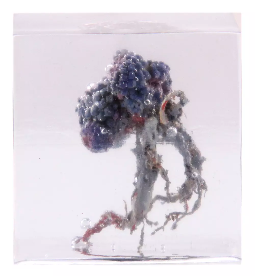 Guinevere, John Owen