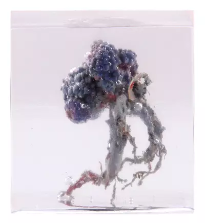 Guinevere, John Owen