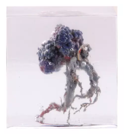 Guinevere, John Owen