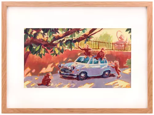 Delhi monkeys, shivansh sharma